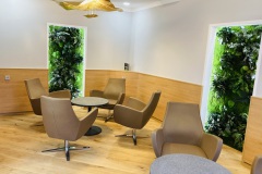 IMG_8665